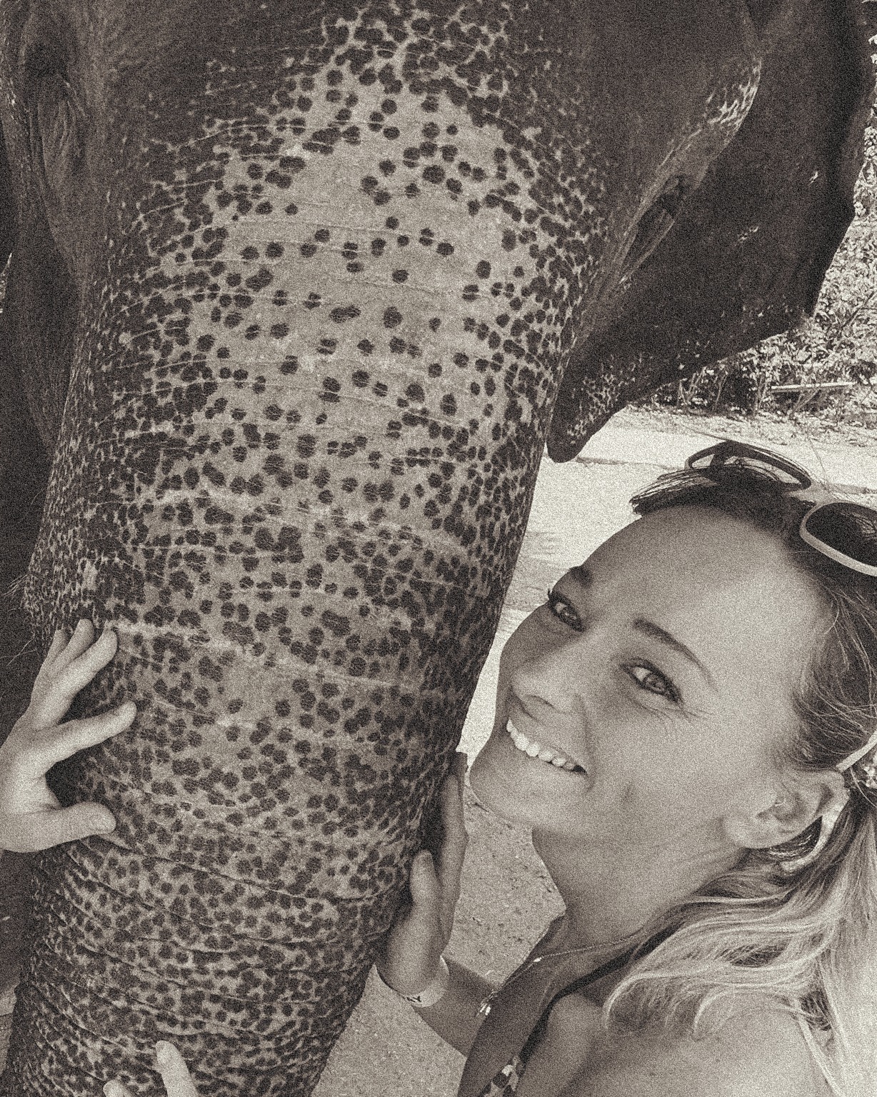 A moment with an elephant